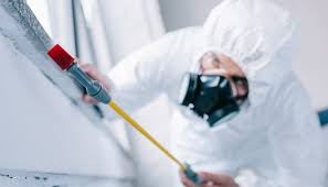 Best Pest Prevention Services  in Coker, AL